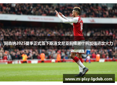 阿森纳2025夏季正式签下斯洛文尼亚前锋谢什科加强进攻火力