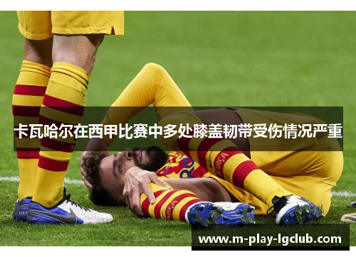 卡瓦哈尔在西甲比赛中多处膝盖韧带受伤情况严重 卡瓦哈尔在西甲比赛中多处膝盖韧带受伤情况严重