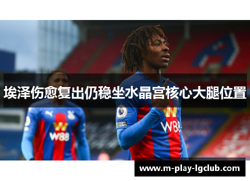 埃泽伤愈复出仍稳坐水晶宫核心大腿位置 埃泽伤愈复出仍稳坐水晶宫核心大腿位置